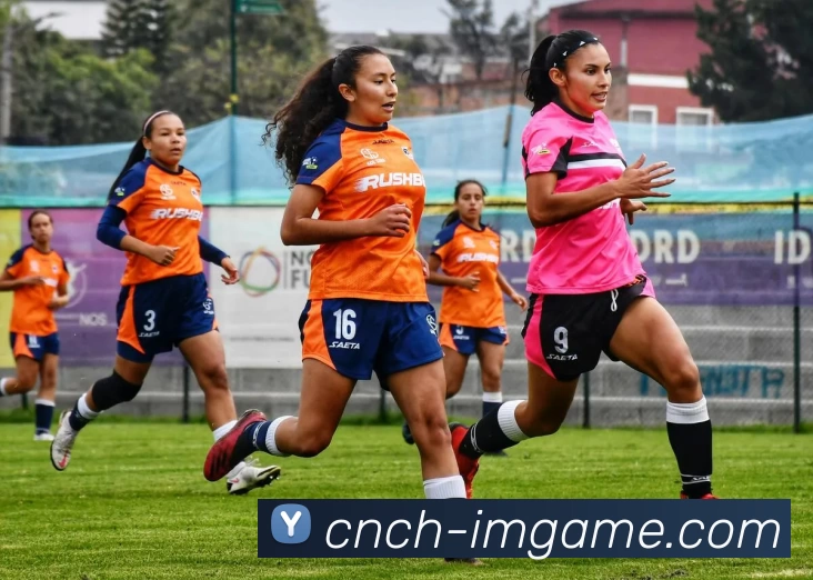 IM体育官网服务体系